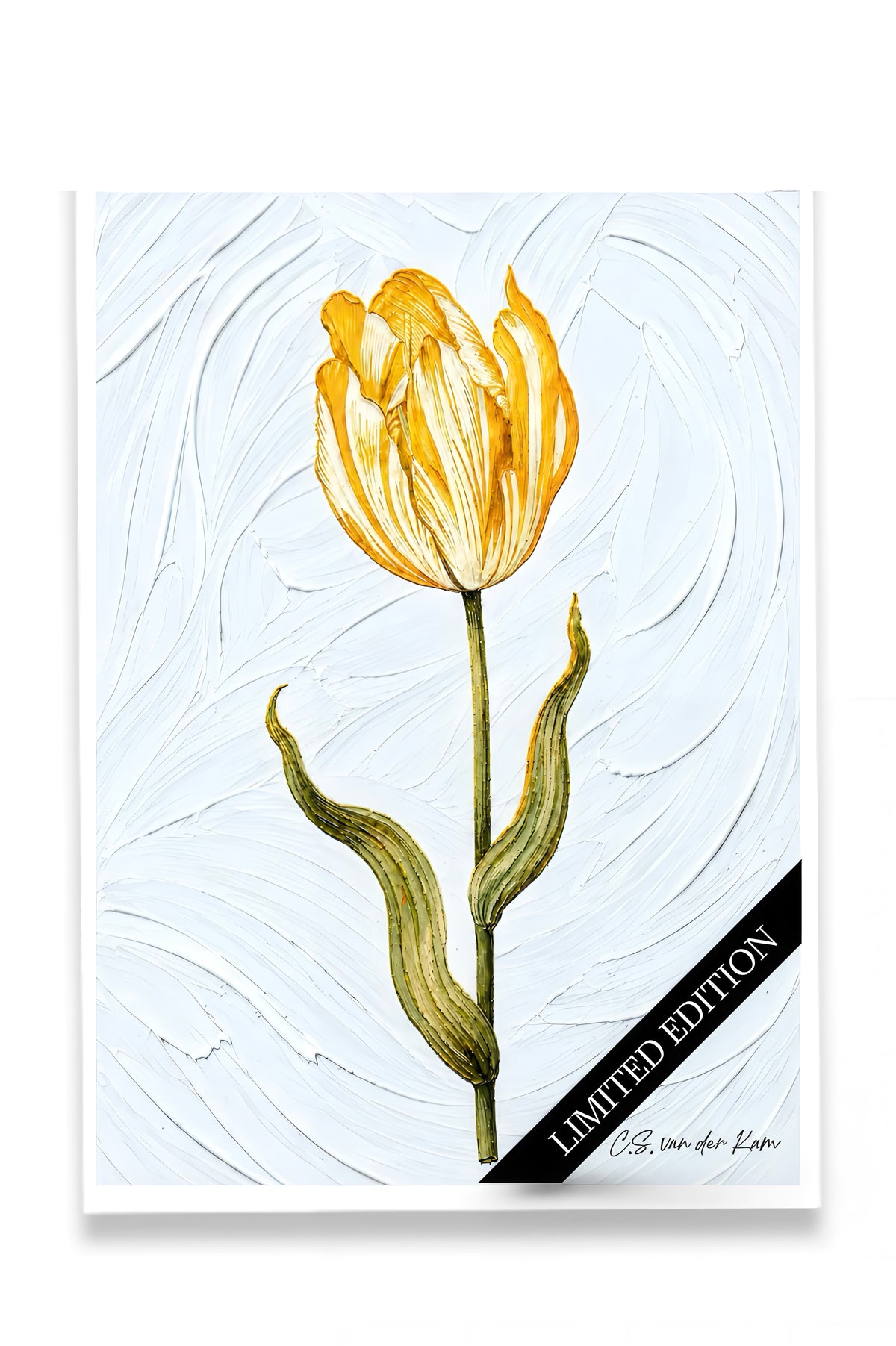 Tulp 03