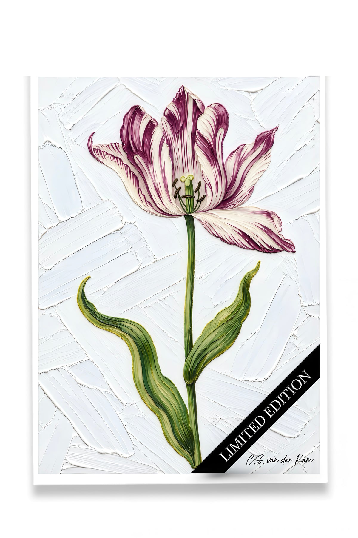 Tulp 04