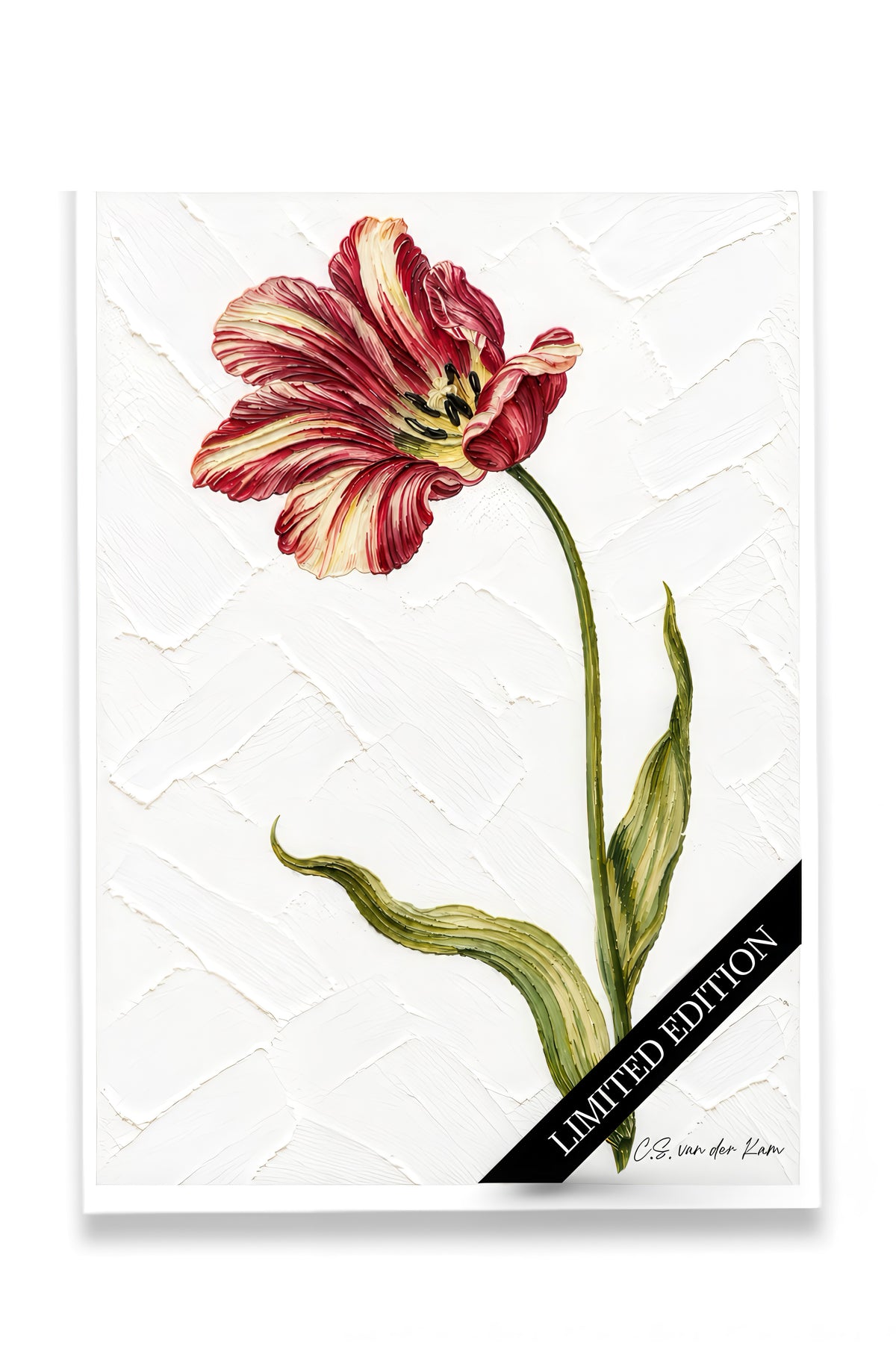 Tulp 05