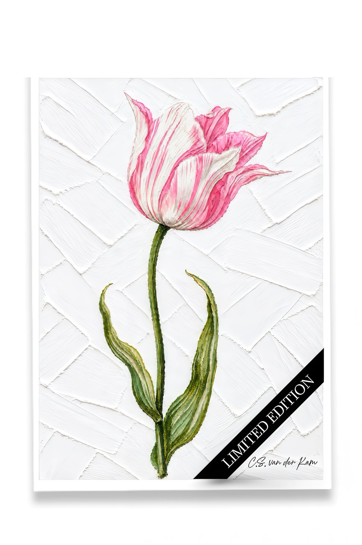 Tulp 06
