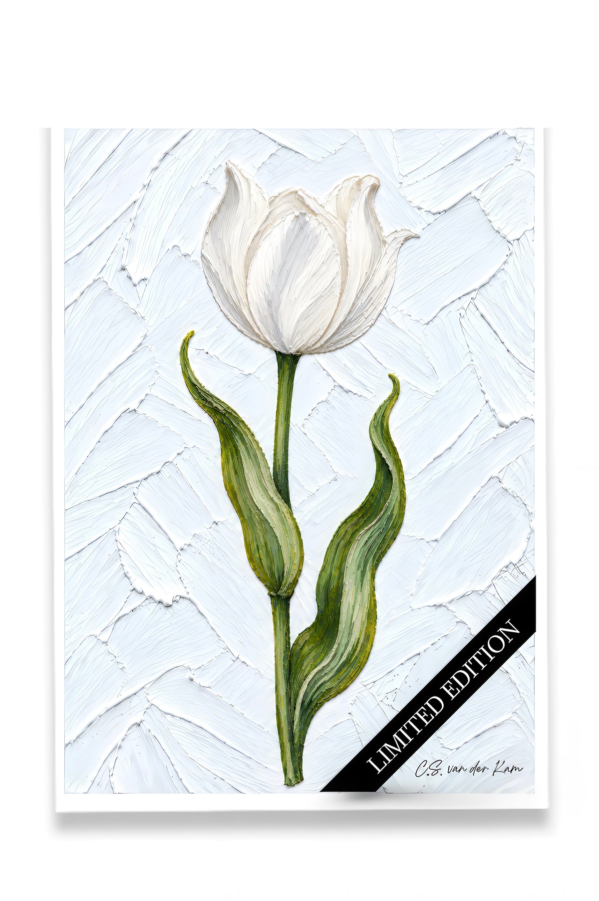 Tulp 07
