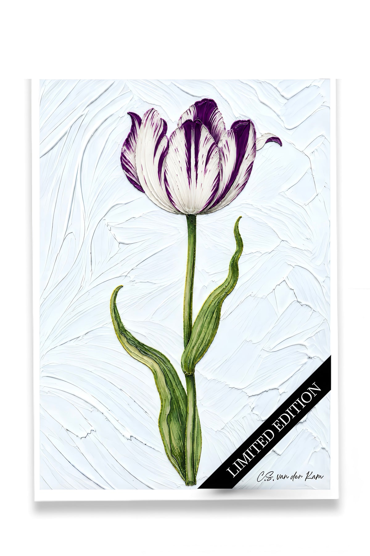 Tulp 08