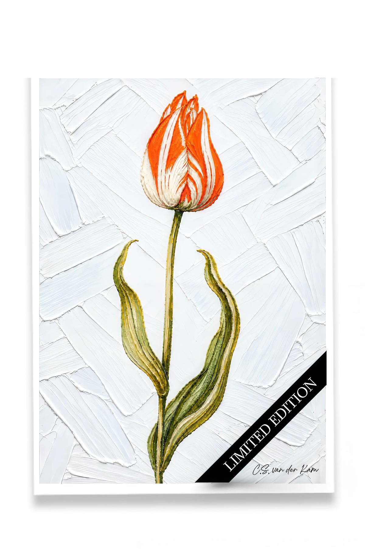 Tulip 10